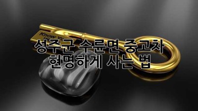 성주군 수륜면 중고차, 현명하게 사는 법!